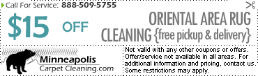 area rug cleaning & oriental rug cleaning